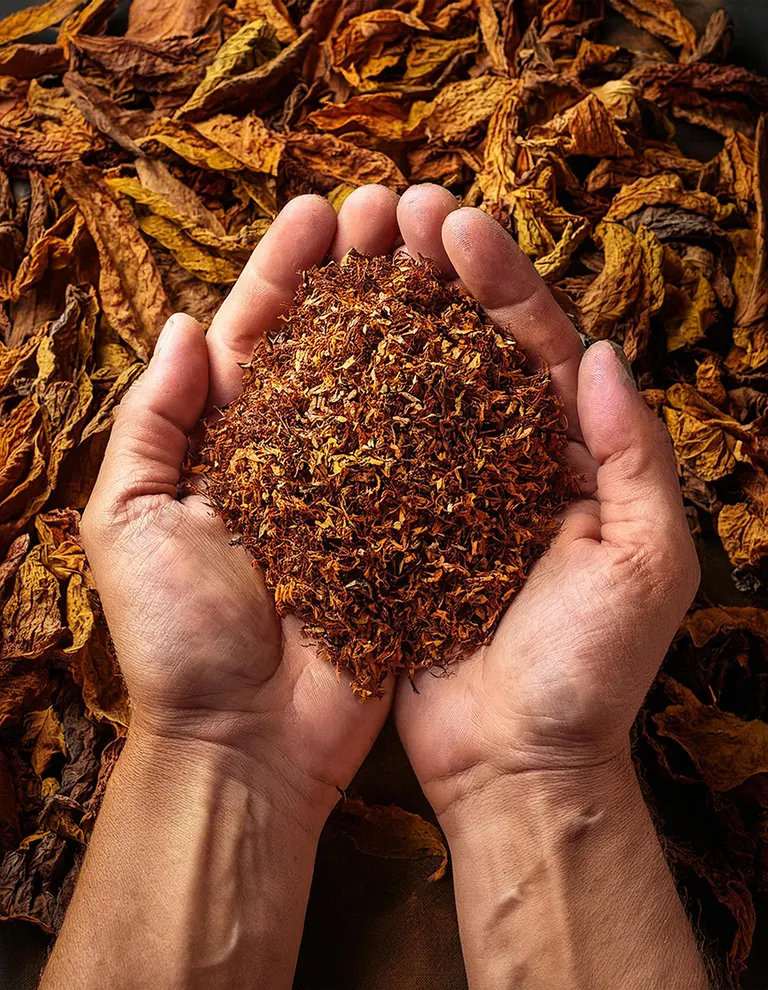 Tobacco Leaves